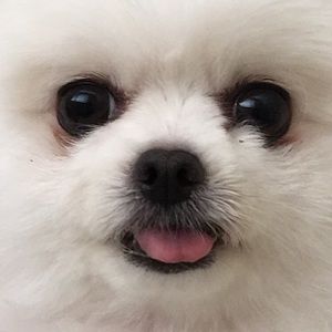 Meet your Posher, Janelle